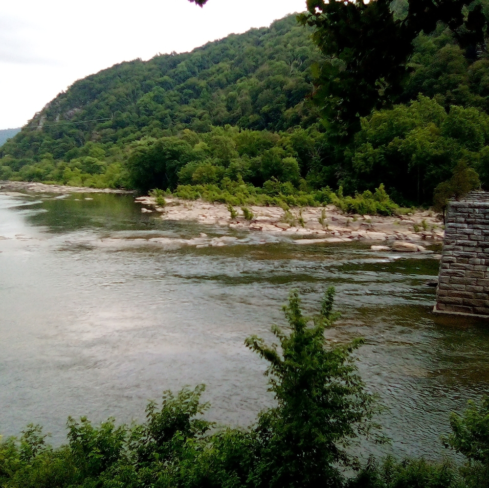 Meet your Posher, Cathy